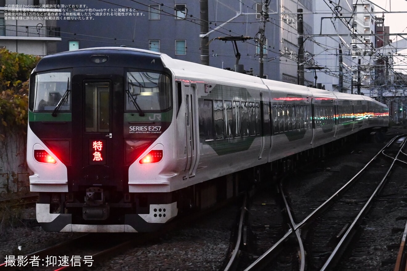 【JR東】臨時特急「湘南国際マラソン号」を運行の拡大写真