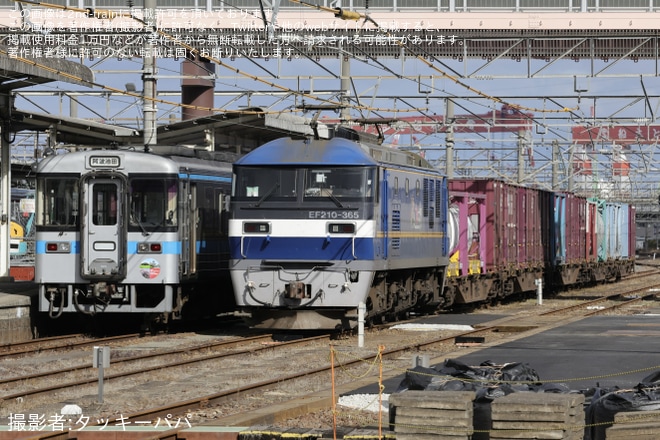 【JR四】1000形気動車1015号車に「土讃線高知駅〜土佐山田駅間  開運100周年」のヘッドマーク型ステッカー付きで運行を多度津駅で撮影した写真