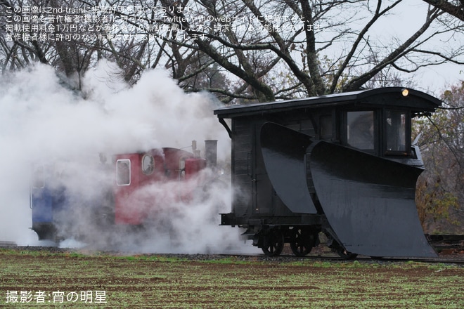 を成田ゆめ牧場内まきば線で撮影した写真