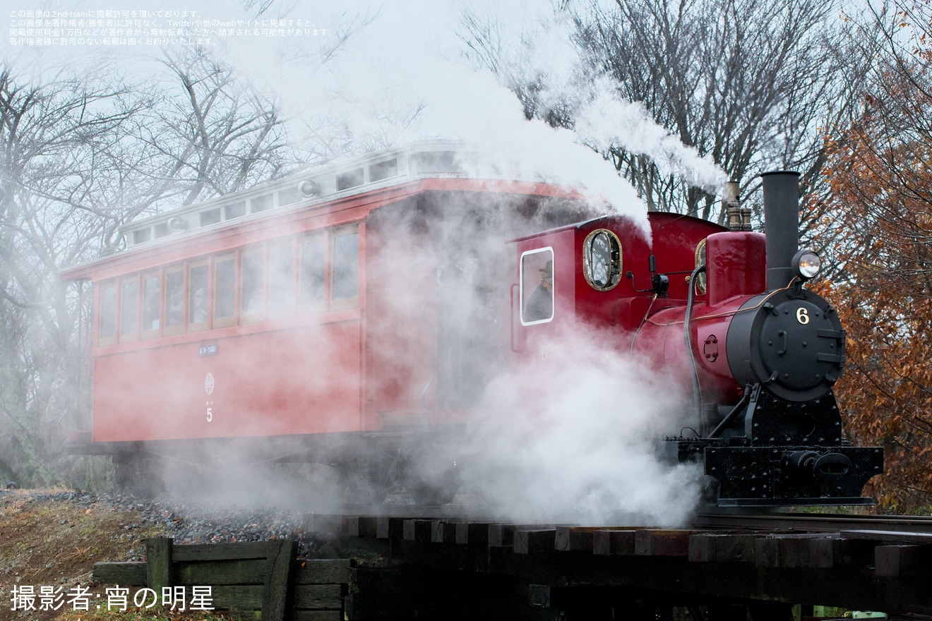 【成田ゆめ牧場】「牧場線まつり〜2025〜」開催の拡大写真