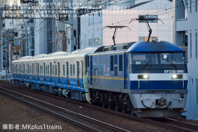 【JR四】新型ハイブリッド車3600系甲種輸送が実施をさくら夙川駅で撮影した写真