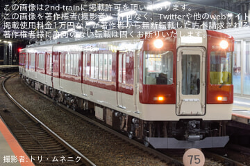 byトリ・ムネニク