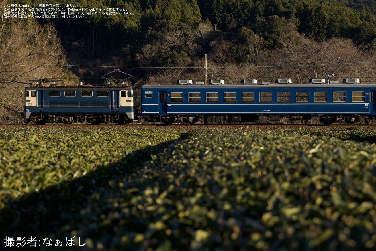 【大鐵】急行かわね路号でしめ縄を取り付けて運行の拡大写真