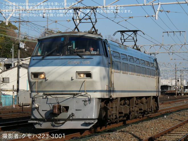 【JR貨】8182レ・8183レをEF66-125が代走を山崎～島本間で撮影した写真