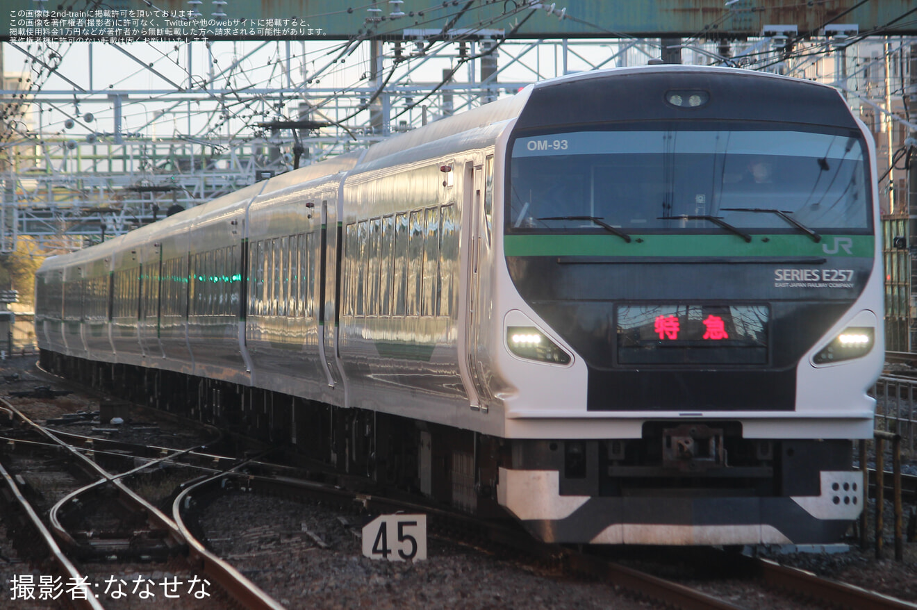 【JR東】臨時特急「開運成田山初詣青梅号」を運行2026年の拡大写真