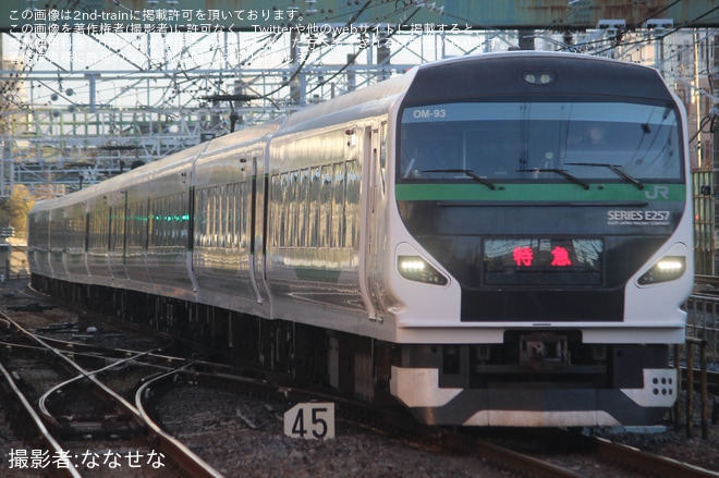 【JR東】臨時特急「開運成田山初詣青梅号」を運行2026年（1枚目）