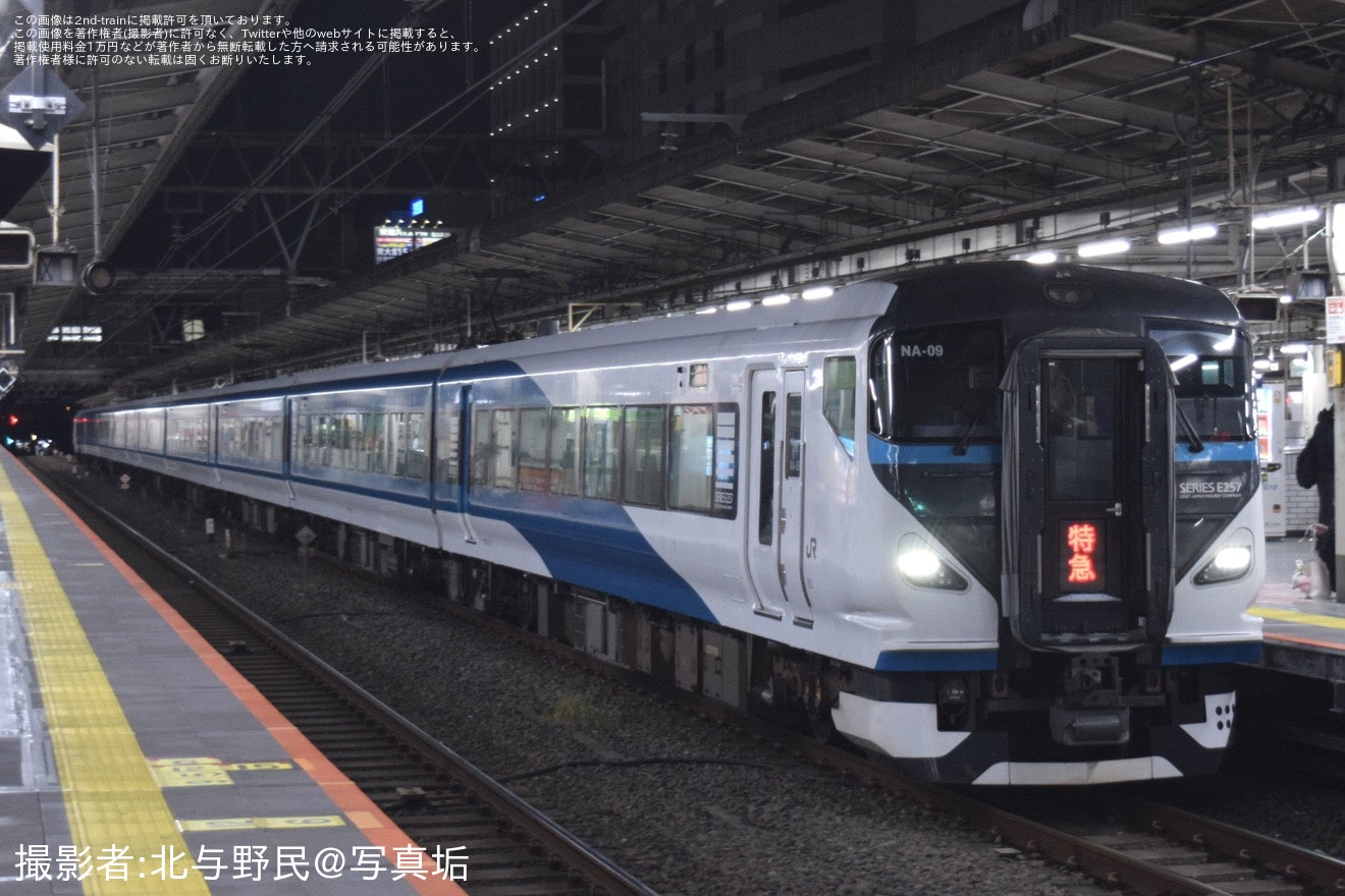 【JR東】臨時特急「下田水仙まつり号」を運行(2026年)の拡大写真