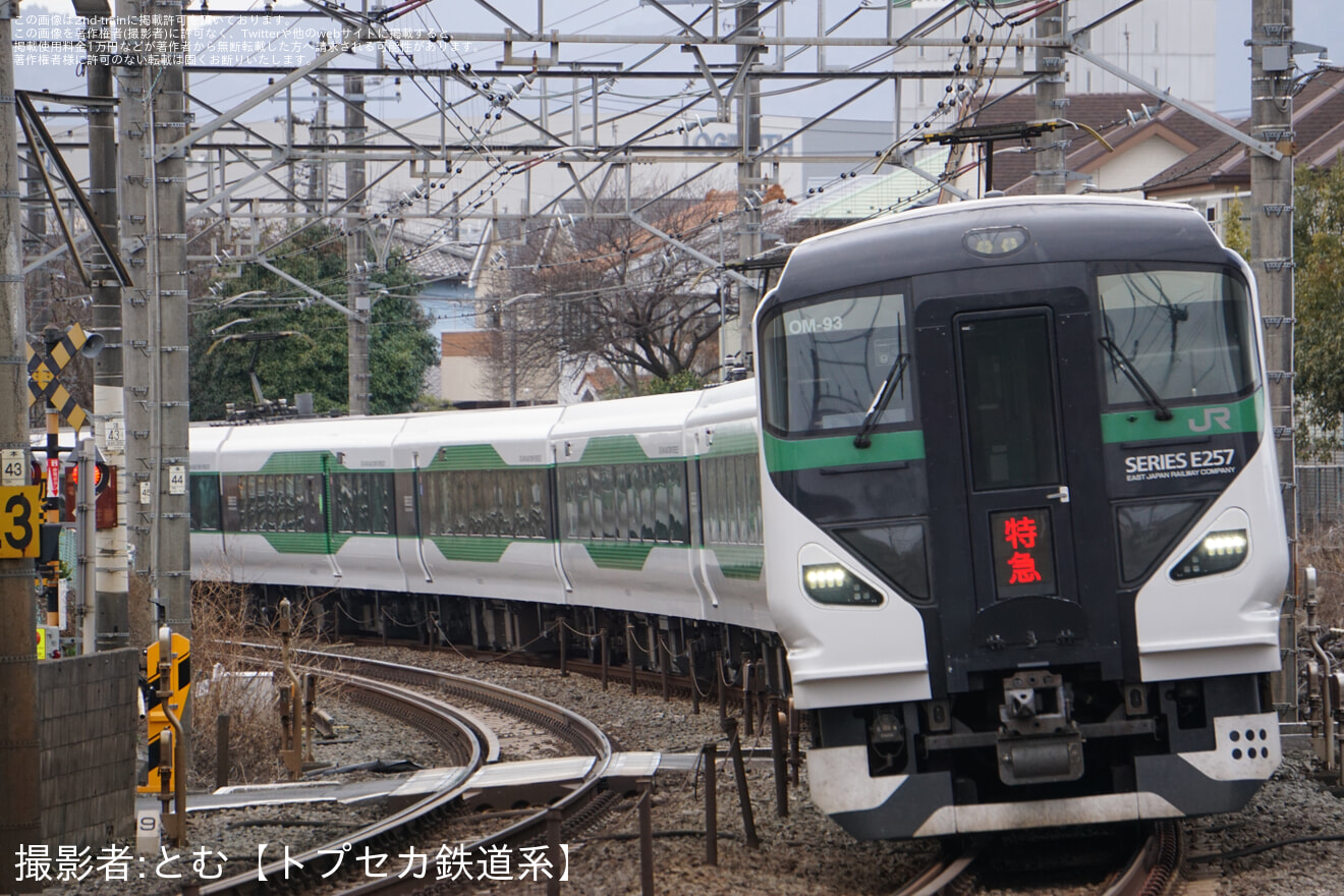 【JR東】臨時特急「開運成田山初詣八王子号」を運行の拡大写真