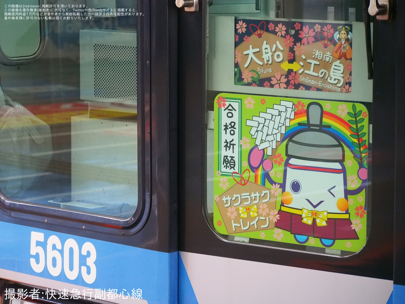 【湘モノ】5000形5603Fが合格祈願列車「サクラサクトレイン」仕様にの拡大写真