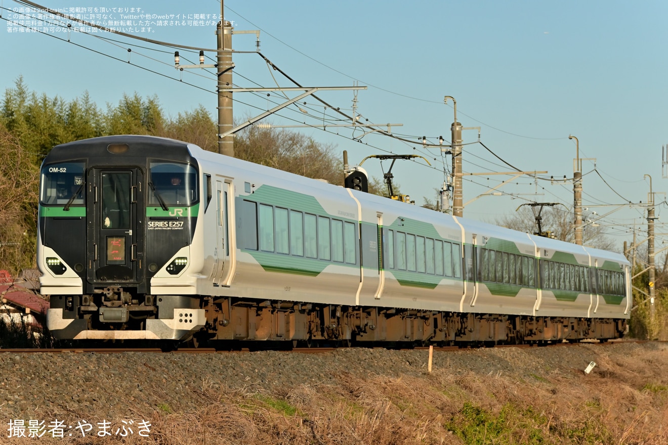 【JR東】臨時特急「開運成田山初詣武蔵野号」を運行(2026年1月)の拡大写真