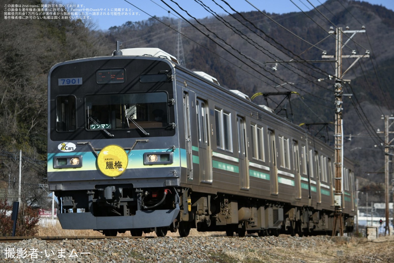 【秩鉄】7800系使用「ロウバイ号」ヘッドマークを取り付けて運行開始の拡大写真