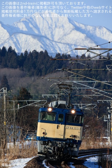 【JR東】EF64-1031が大学入学共通テストの開催に合わせ晴天の信越本線で霜取り運用「信越カッター」に従事