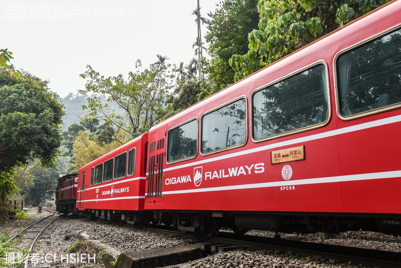 【阿里山】大井川鉄道との姉妹鉄道提携締結40周年を記念した井川線の車両デザインをモチーフとしたラッピングの拡大写真