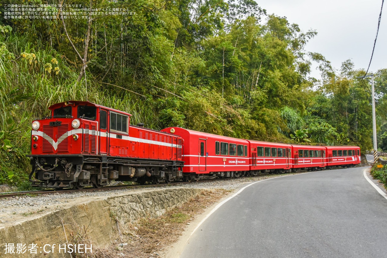 【阿里山】大井川鉄道との姉妹鉄道提携締結40周年を記念した井川線の車両デザインをモチーフとしたラッピングの拡大写真