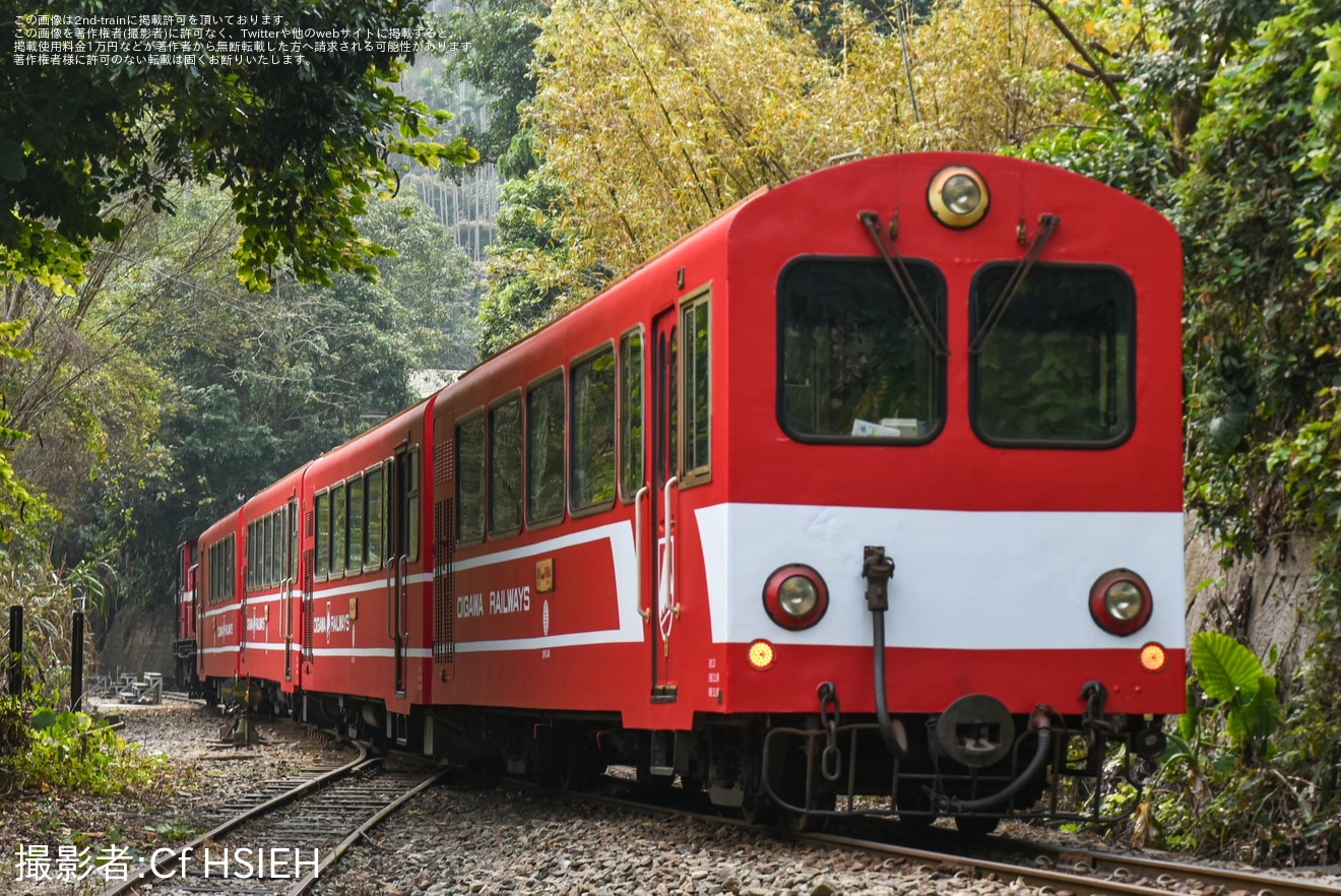 【阿里山】大井川鉄道との姉妹鉄道提携締結40周年を記念した井川線の車両デザインをモチーフとしたラッピングの拡大写真