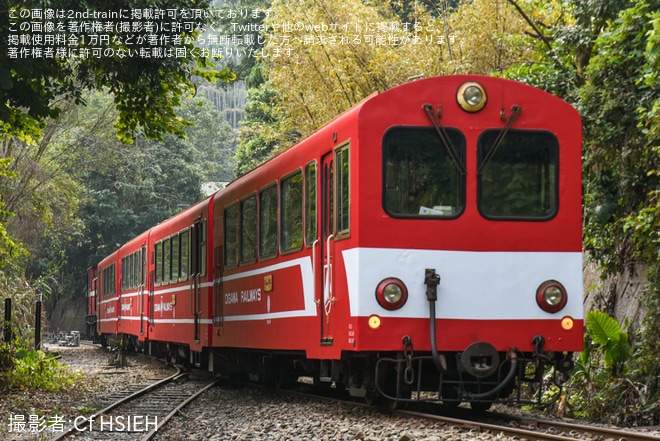 【阿里山】大井川鉄道との姉妹鉄道提携締結40周年を記念した井川線の車両デザインをモチーフとしたラッピングを不明で撮影した写真