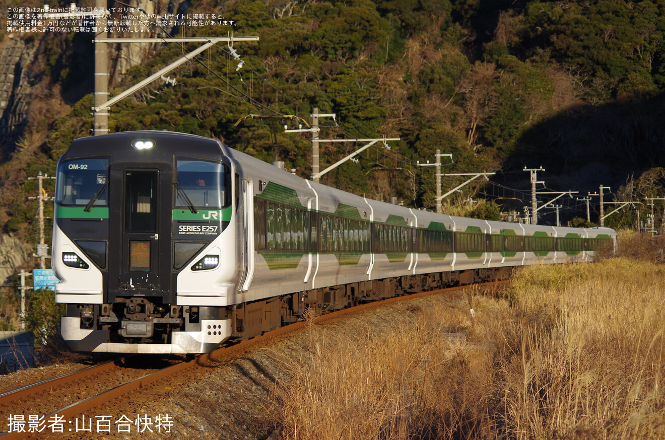 【JR東】『館山若潮マラソン』開催に伴う臨時特急運行の拡大写真