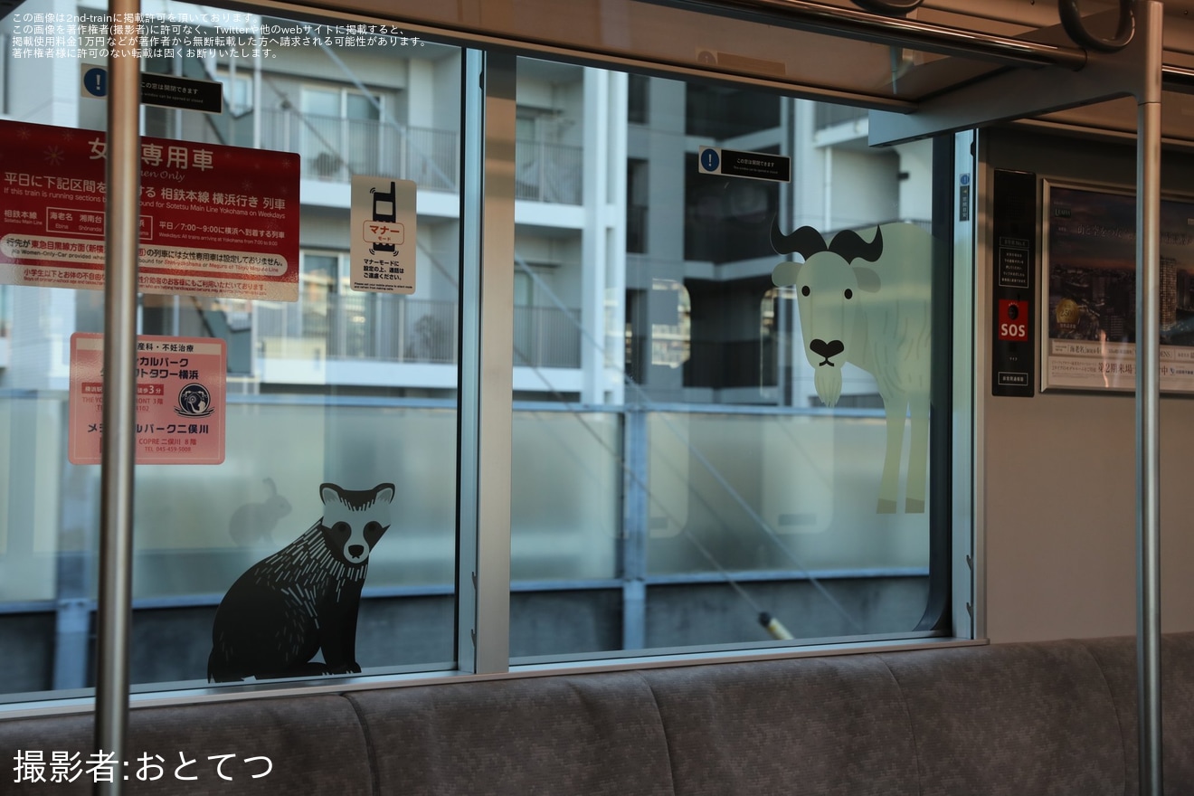 【相鉄】「SOTETSU WORLD TRIP どうぶつトレイン」運行開始の拡大写真