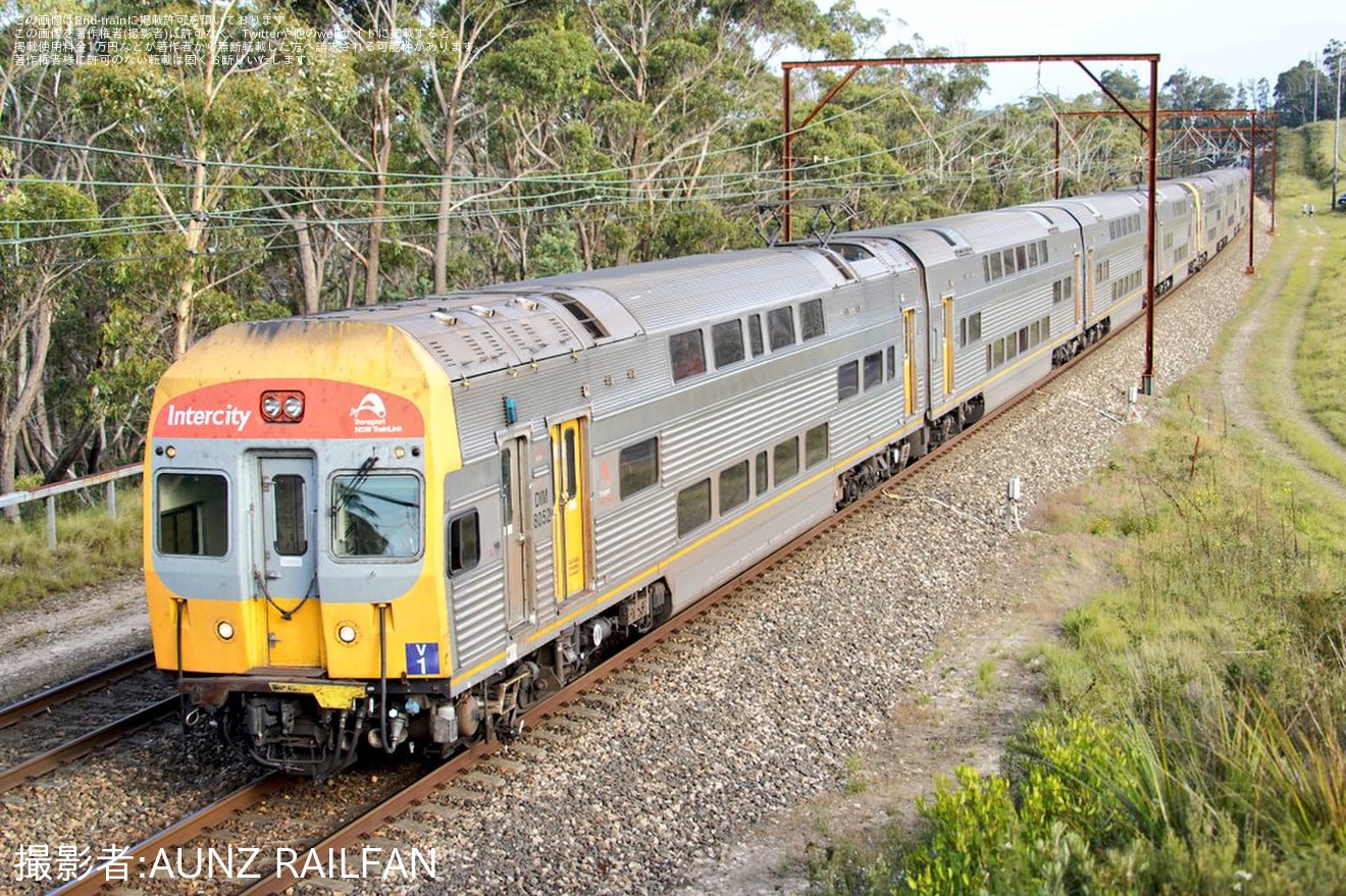 【SydneyTrains】ブルーマウンテンズ方面のインターシティ輸送を長年担ってきたV setがラストランの拡大写真