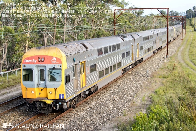 【SydneyTrains】ブルーマウンテンズ方面のインターシティ輸送を長年担ってきたV setがラストランをNear Bell Stationで撮影した写真