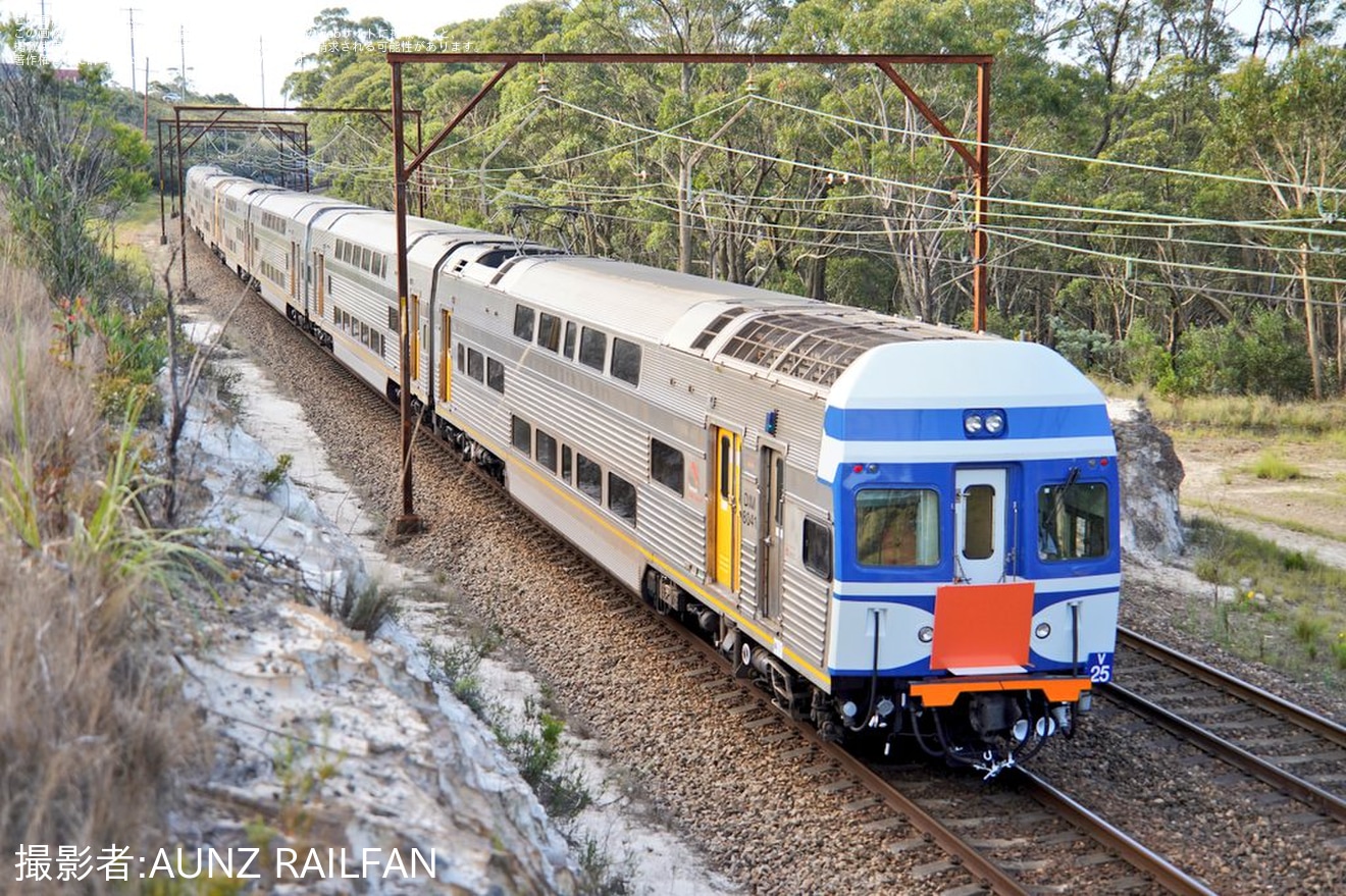 【SydneyTrains】ブルーマウンテンズ方面のインターシティ輸送を長年担ってきたV setがラストランの拡大写真
