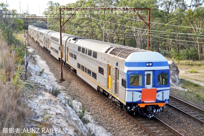 【SydneyTrains】ブルーマウンテンズ方面のインターシティ輸送を長年担ってきたV setがラストランをNear Bell Stationで撮影した写真