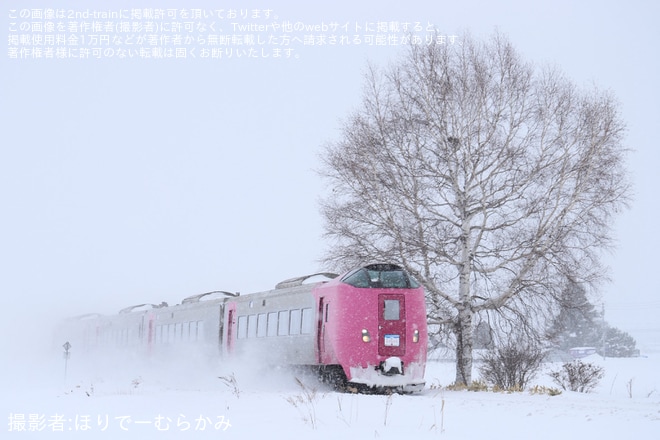 【JR北】臨時特急「雪のはまなす号」運行を不明で撮影した写真