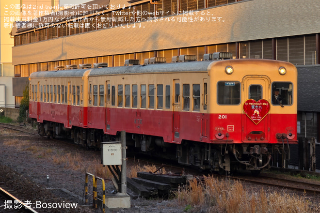 【小湊】「夜キハ」上総牛久方に“ハート型”ヘッドマーク掲出（2/6はキハ201） - 五井駅にて撮影