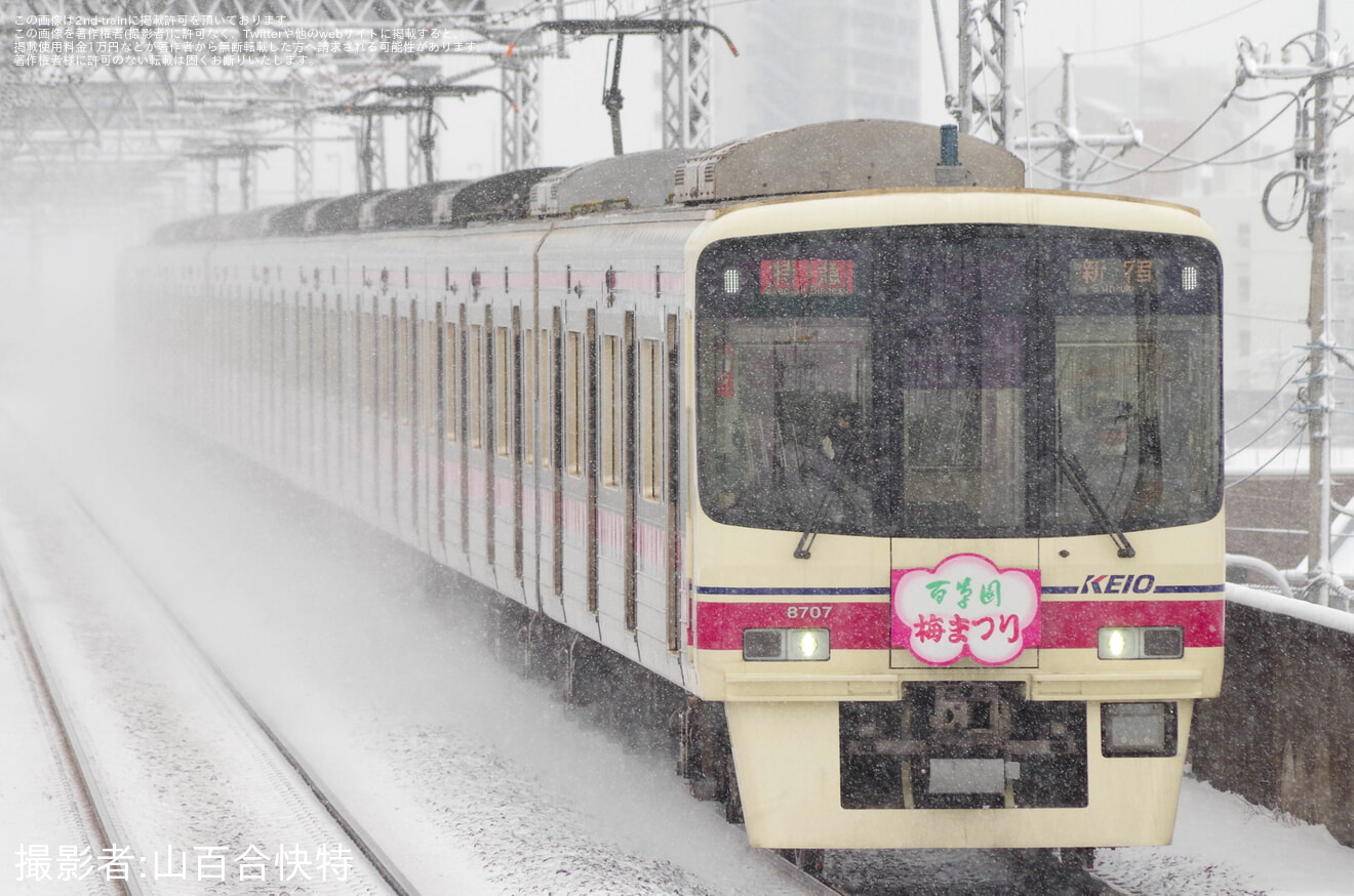 【京王】8000系8707Fに「百草園梅まつり」ヘッドマーク掲出の拡大写真