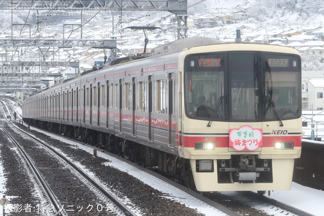 【京王】8000系8707Fに「百草園梅まつり」ヘッドマーク掲出の拡大写真