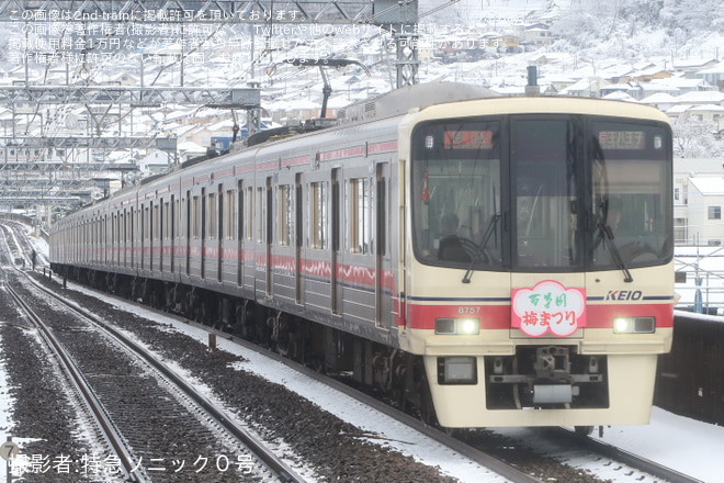 【京王】8000系8707Fに「百草園梅まつり」ヘッドマーク掲出を長沼駅で撮影した写真