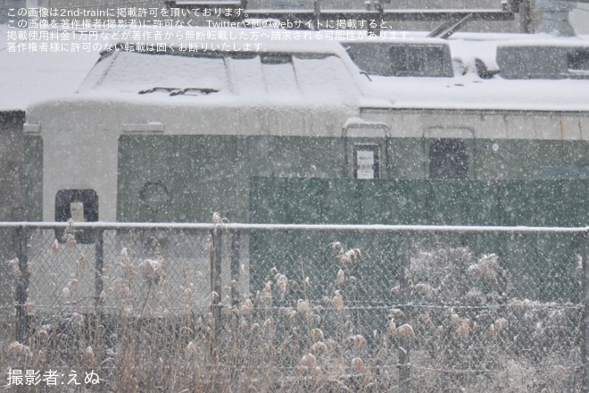 【JR東】189系ナノN102編成の先頭車2両(クハ189-510+クハ189-9)が解体線へ移動を不明で撮影した写真