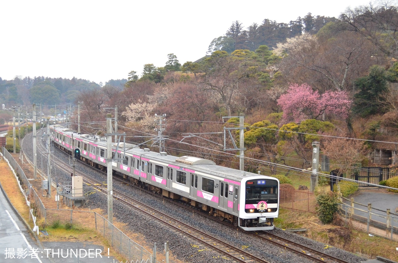 【JR東】「水戸観梅号」乗車ツアーが催行の拡大写真