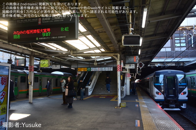 【JR東】臨時特急「みなみの桜河津桜大宮号」を運行(2026年)を大宮駅で撮影した写真