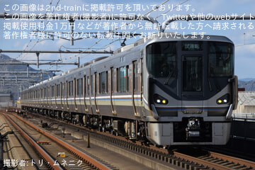 byトリ・ムネニク