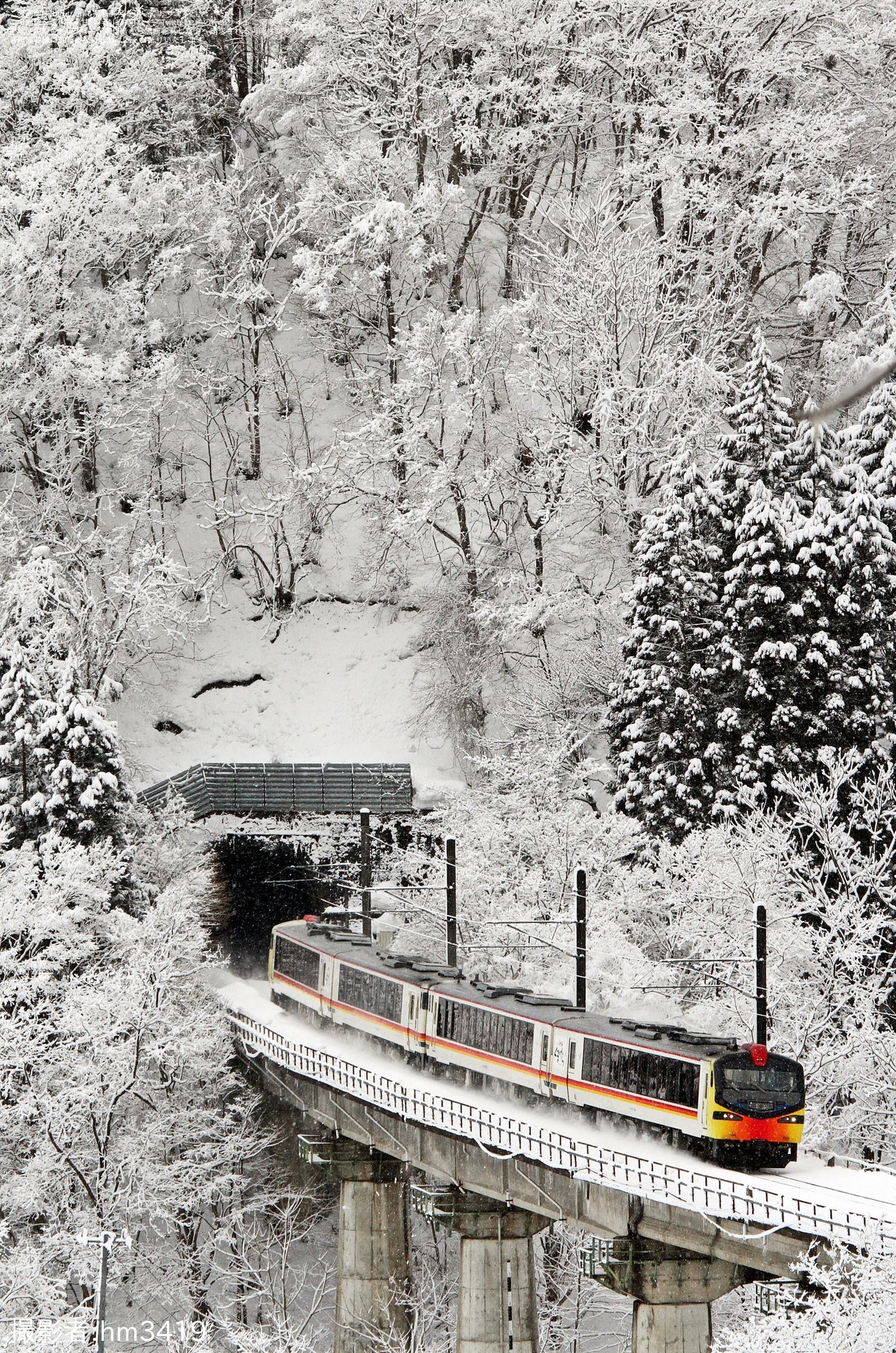 【JR東】キハ48形リゾートしらかみ「くまげら編成」八戸へ回送の拡大写真