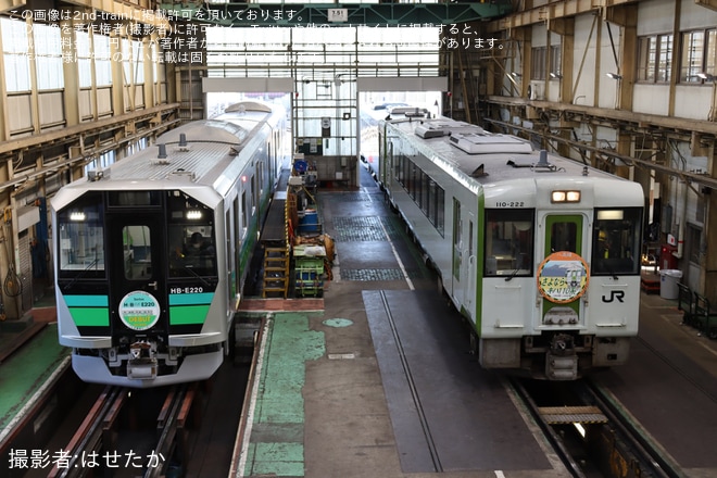 【JR東】ぐんま車両センター「八高線HB-E220系見学会」開催をぐんま車両センターで撮影した写真