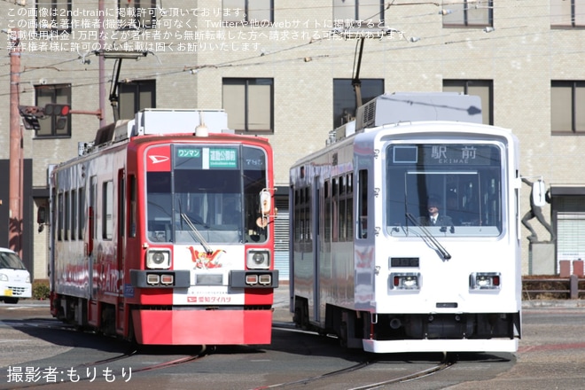 【豊鉄】市内線3504号「special white 3504号」として運行を不明で撮影した写真