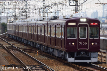 byトリ・ムネニク