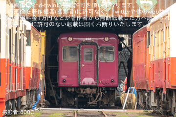 【小湊】キハ212がキハ6100形の復刻塗装とも思われる姿に