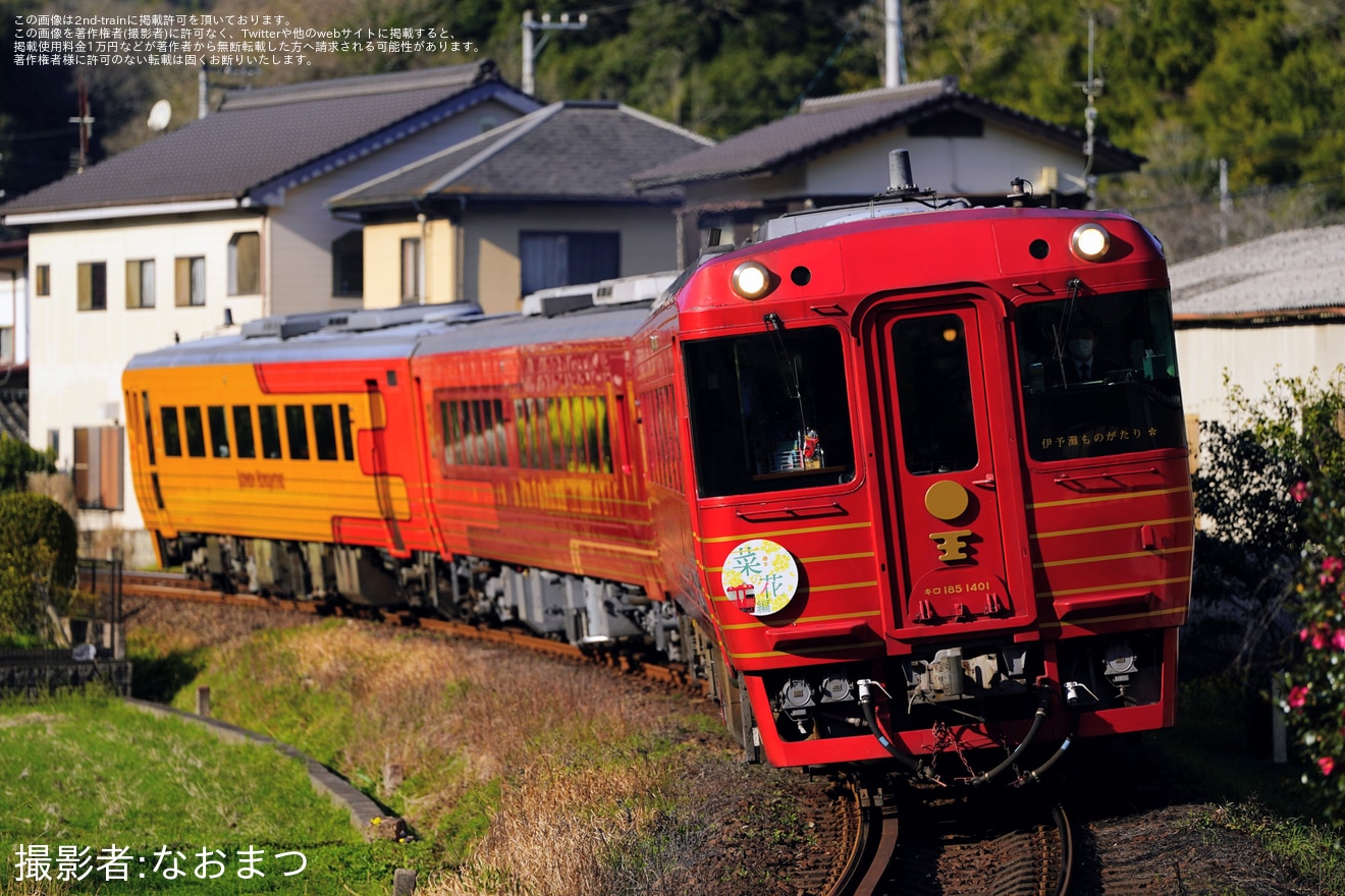 【JR四】「伊予灘ものがたり 菜の花編」運行(2026年)の拡大写真