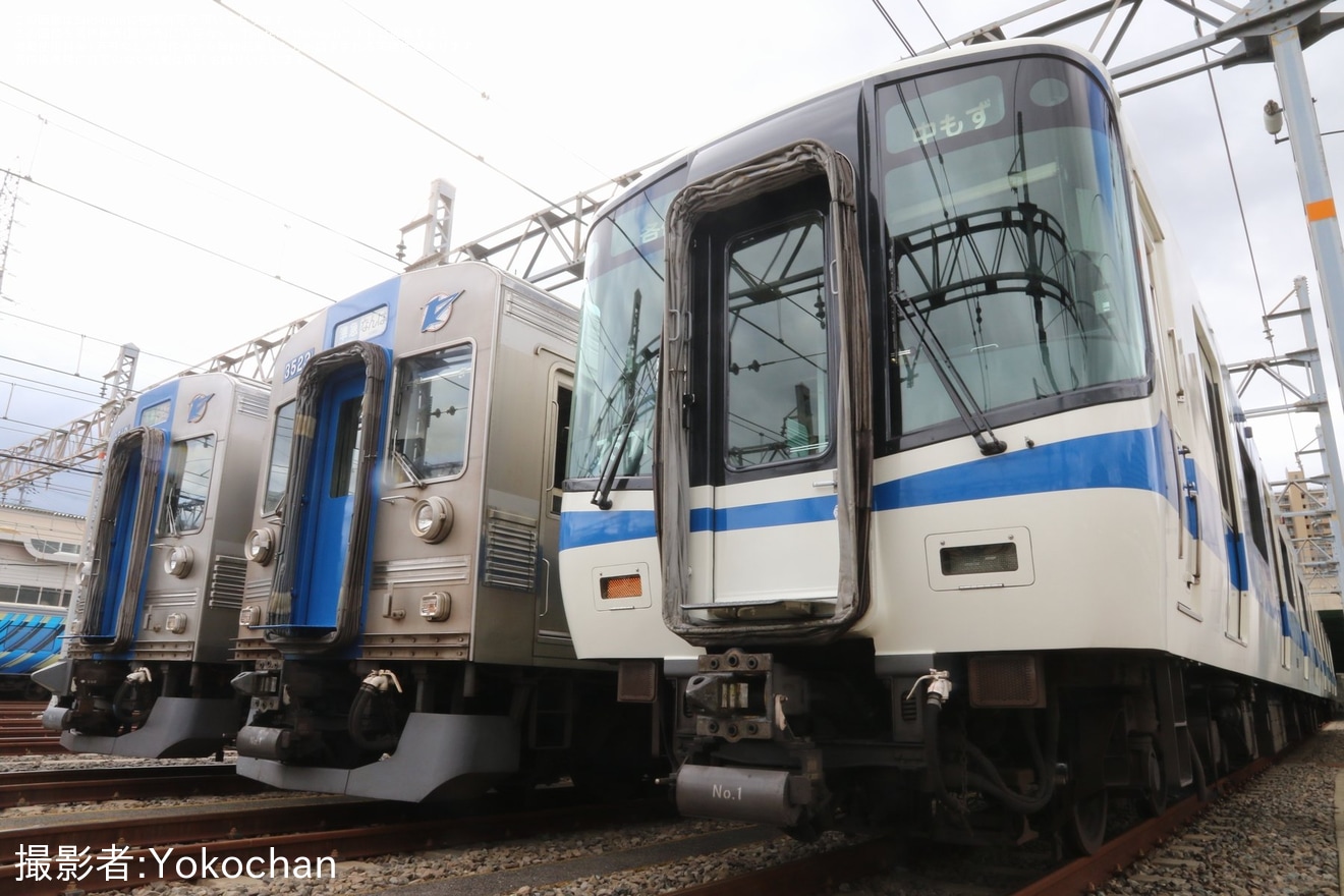 【南海】光明池車庫「写真撮影会」開催の拡大写真