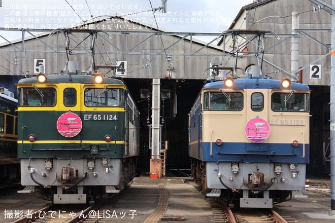 【JR西】「国鉄型機関車展示会 in 網干総合車両所宮原支所」ツアー開催 - 網干総合車両所宮原支所にて撮影