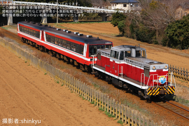 を大洋～鹿島灘間で撮影した写真