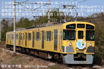【近江】「カモノハシのイコちゃん×駅長がちゃこん電車」の運行が開始