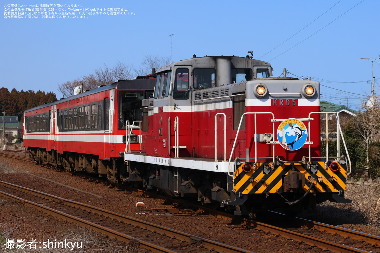 【鹿臨】「DL急行『大洗エメラルド号』神栖・奥野谷浜行き」ツアーが催行の拡大写真