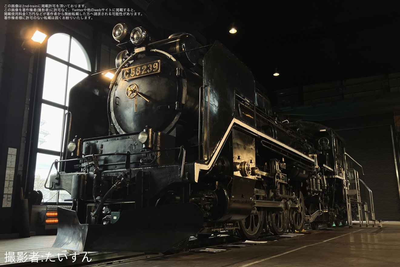 【JR東】C58-239が見学できる「SL検修庫見学ツアー」が開催の拡大写真