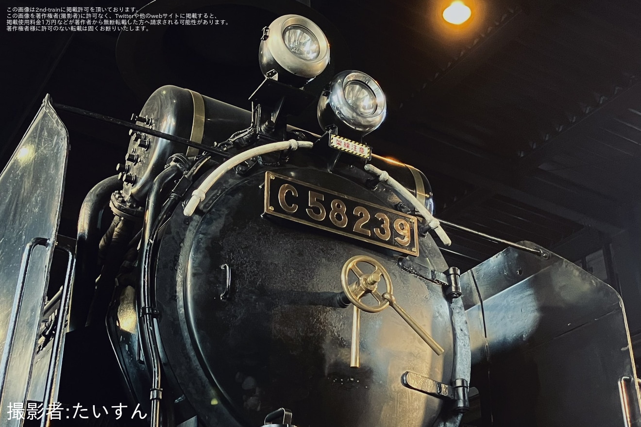 【JR東】C58-239が見学できる「SL検修庫見学ツアー」が開催の拡大写真