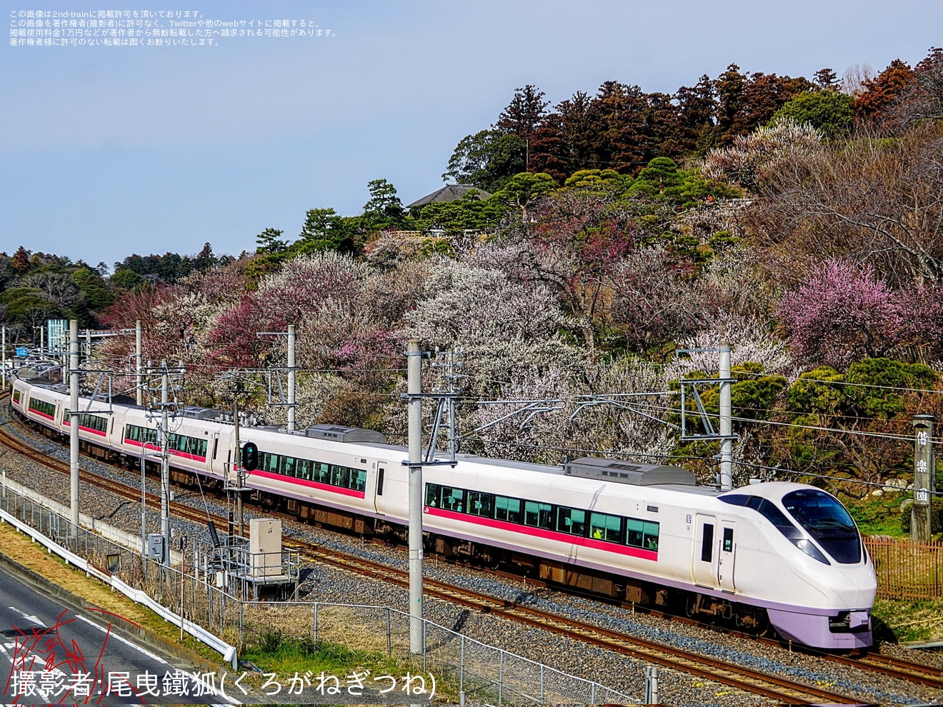 【JR東】臨時特急「水戸偕楽園平塚号」を運行(2026年3月)の拡大写真