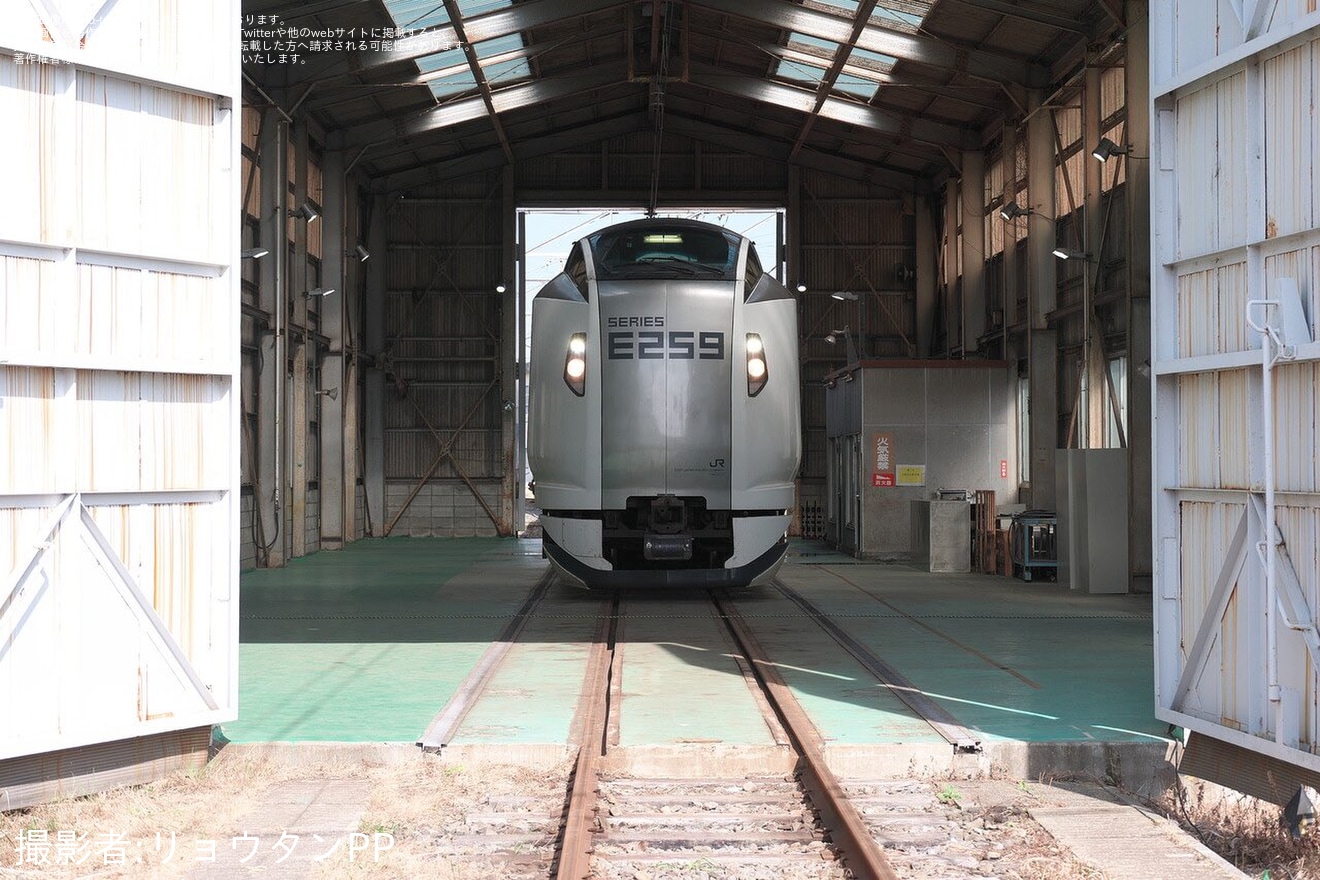 【JR東】「グッズ販売会つき横須賀線-総武線撮影会」開催の拡大写真